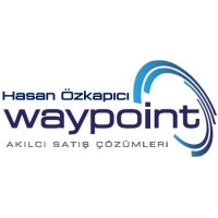 Waypoint Solutions & Consultancy logo - Similar company to Wolfteam Ltd.