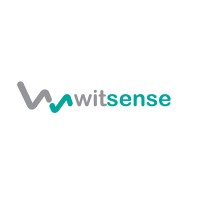 witsense logo - Similar company to Dataturks (Acquired By Walmart Labs)