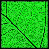 Natural logo - Similar company to Devco Services