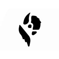 Bison logo - Similar company to Exploringnotboring