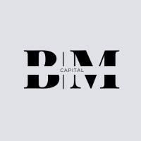 BM CAPITAL FS logo - Similar company to Gmol Solutions