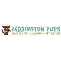 Paddington Pups
