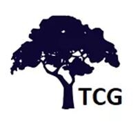 TEMPULSE GLOBAL CONSULTANCY B.V. logo - Similar company to N9Design.