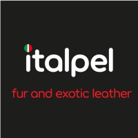 Italpel logo - Similar company to Dodosport