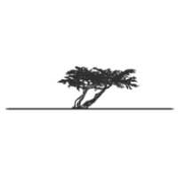 Big Cypress Capital