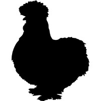 Clucking Good logo - Similar company to Internfirst (2K+ Subscribers)