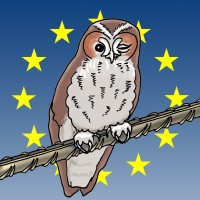 Eurokodutbildningar logo - Similar company to Next Position Group