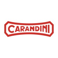 Carandini logo - Similar company to Ledsc4