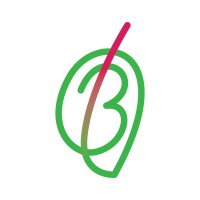 Birajdar Foods (OPC) Pvt. Ltd. logo - Similar company to Augmented Foods India Pvt Ltd
