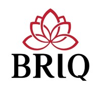 BRIQ Belt & Road Initiative Quarterly logo - Similar company to Chinaffairsplus