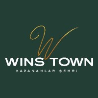 Wins Town AVM logo - Similar company to One Stop Global