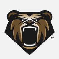Bear Knuckles Gloves logo - Similar company to Bear Knuckle