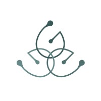 Nano SynerG logo - Similar company to Cybernip