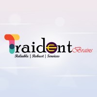 Traident Brains Pvt Ltd logo - Similar company to Crspl Technologies Private Limited