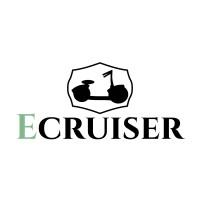 Ecruiser logo - Similar company to Brikbikes