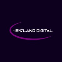 Newland Digital Corporation logo - Similar company to Fujian Apex Software Coltd
