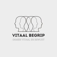 VitaalBegrip logo - Similar company to Vitaal Werken
