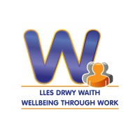 Wellbeing Through Work 'In-Work Support' -  Lles Drwy Waith 'Gwasanaeth Cymorth yn y Gwaith' logo - Similar company to Stroke Hub Wales