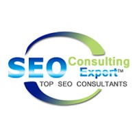 SEO Consulting Expert logo - Similar company to Successworks Ai / Seo Copywriting