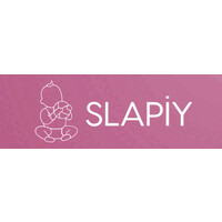 Slapiy logo - Similar company to Datagiz