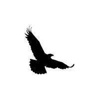 Dreamcatcher Expeditions logo - Similar company to Down Cape Engineering Inc