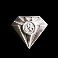 Damesdispuut Chique logo - Similar company to Suppsonic