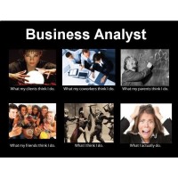 Analyst Management Global logo - Similar company to Data Squared Consulting