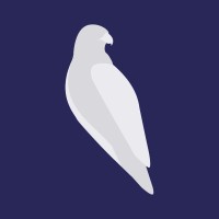 NSBHS Visions logo - Similar company to Major Talks Podcast