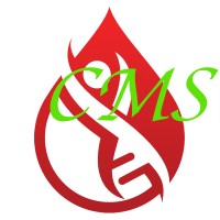 CheckMeSafe logo - Similar company to Entringo Vehicle Flow Management Systems