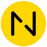 Netliz logo - Similar company to Zingbytes It Solution