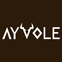 Ayvole logo - Similar company to Insightgig