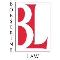 Borserine Law logo - Similar company to Twenty-First Century Group, Inc.