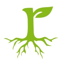 Grecoroots logo - Similar company to Olivegg
