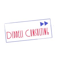 Diddeli Consulting AB logo - Similar company to Update Affärssystem Ab