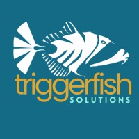 Triggerfish Solutions logo - Similar company to Reframed