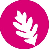Oakpinion PR logo - Similar company to Dcode Pathshala