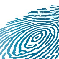 Site Image Landscape Architects & Public Art Consultants logo - Similar company to Creo Structures Pty Ltd