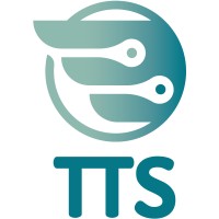 Technology Transformation Strategies