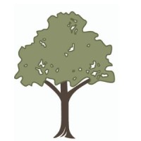 Anfinson Thompson & Co. logo - Similar company to Cds - Conway, Deuth & Schmiesing, Pllp