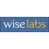 Wise Labs logo - Similar company to Wise Analysis
