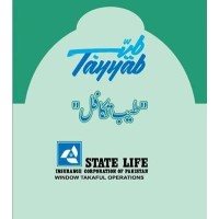 State Life Tayyab Takaful Divisiion logo - Similar company to K Ecom Business Solution