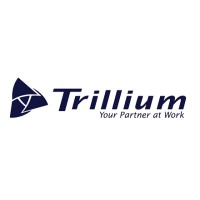 Trillium Staffing Solutions Corporate Ofc logo - Similar company to Trillium Professional