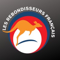 Les Rebondisseurs Français logo - Similar company to Méthode Disc 4Colors / Funny Learning
