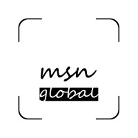 MSN Global IT Solutions logo - Similar company to Devsoft Tech Solutions
