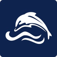 Dolphin IT logo - Similar company to Dolpheen It
