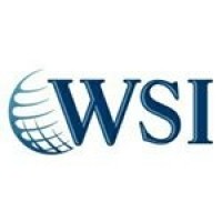 WSI Axon logo - Similar company to Axon Analytics Ltd