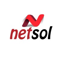 Netsol logo - Similar company to Internet Options Botswana