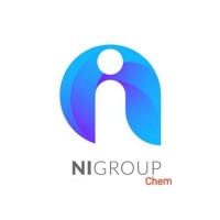 NI Group logo - Similar company to Stp-Btech Llc