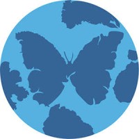 Metamorphology Consulting