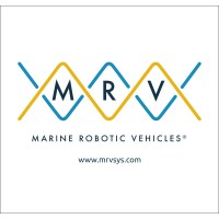 Mrv Systems, Llc